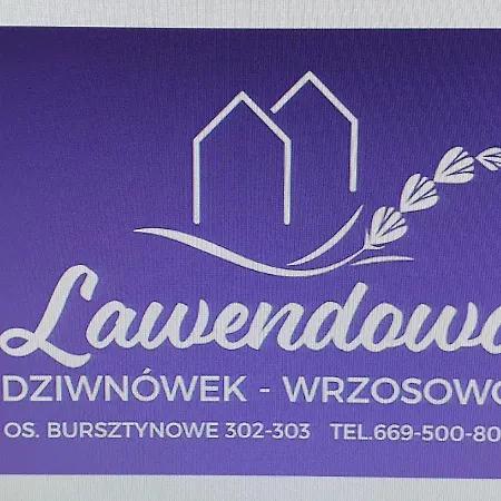 Lawendowo *