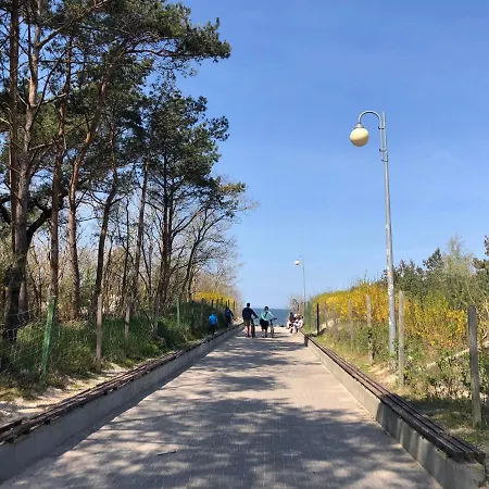 Lawendowo * Wrzosowo (Kamien)