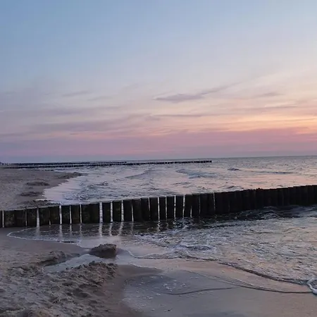 Lawendowo * Wrzosowo (Kamien)