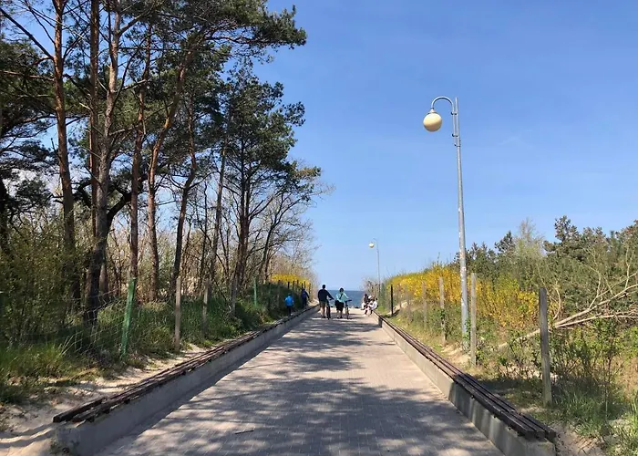 Lawendowo * Wrzosowo (Kamien)