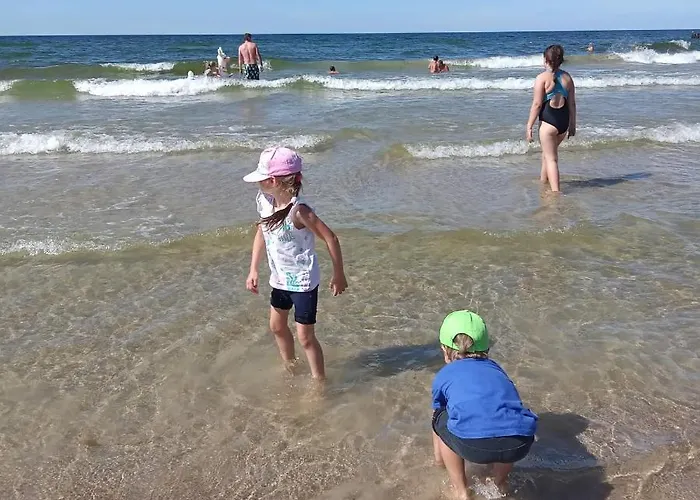 Lawendowo * Wrzosowo (Kamien)