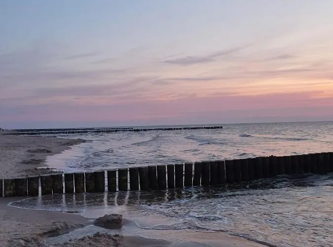 Lawendowo * Wrzosowo (Kamien)